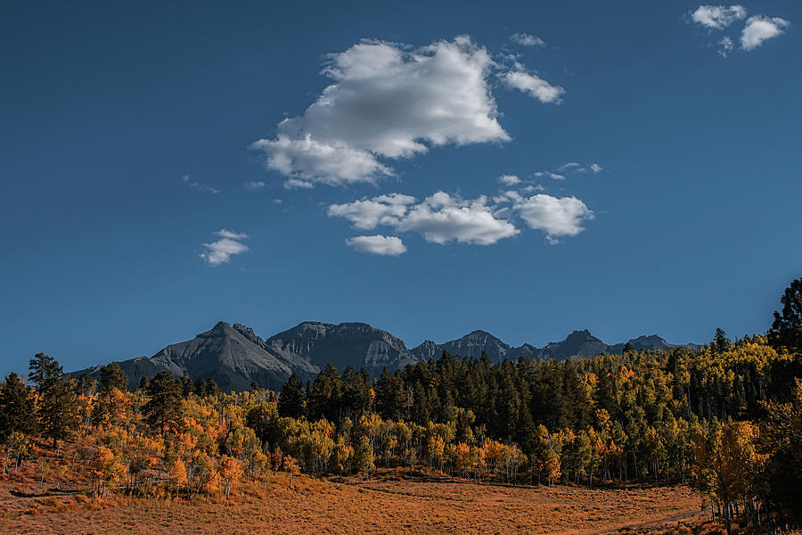 Fall above Ridgway Photograph by Ernest Echols