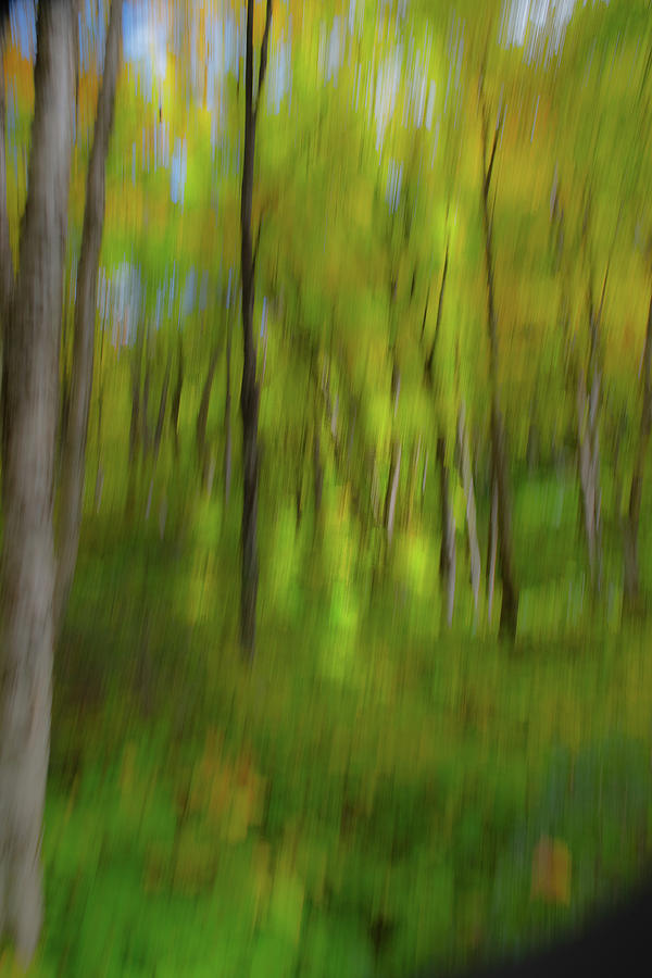 Fall Abstract #2 Photograph by Patricia Dennis