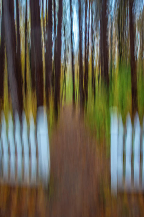 Fall Abstract #5 Photograph by Patricia Dennis