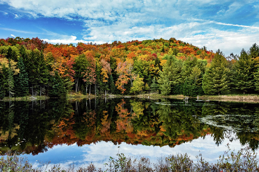 Fall Adirondack NY Photograph by Joshua Fredericks - Fine Art America