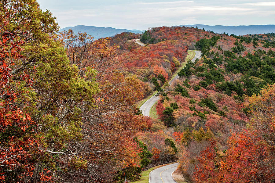 Fall Along the Talimena Scenic Drive Byway - Oklahoma Photograph by Gregory Ballos