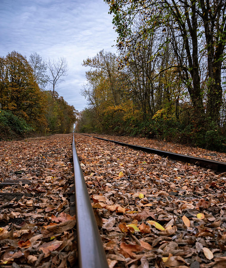Fall Along The Tracks Photograph by Steven Clark