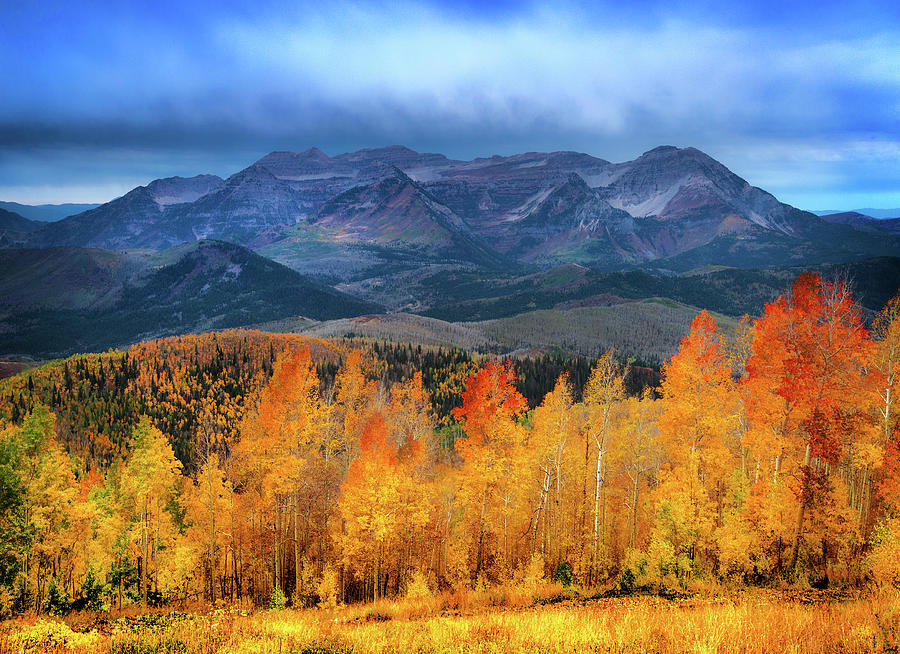 Fall Aspen Storm Photograph by Johnny Adolphson - Fine Art America