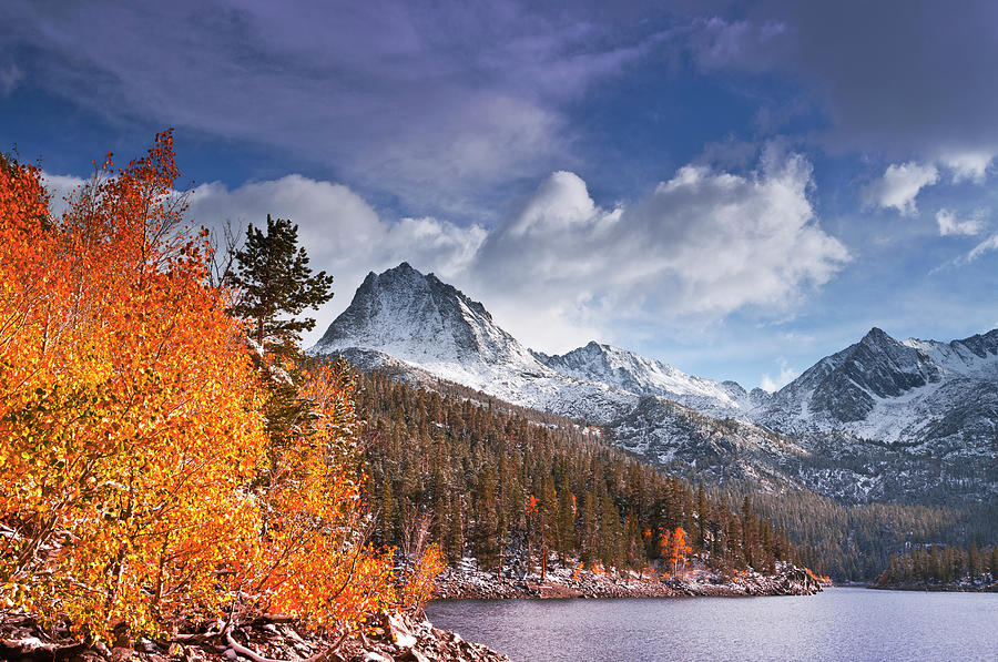 Fall Photograph - Fall Aspens Under Sierra Peaks by Russ Bishop