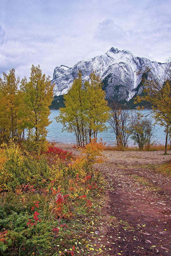Fall at Abraham Lake Photograph by Catherine Reading