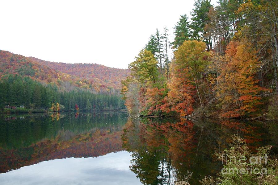 Fall at Lake Logan, NC Photograph by Flavia Westerwelle