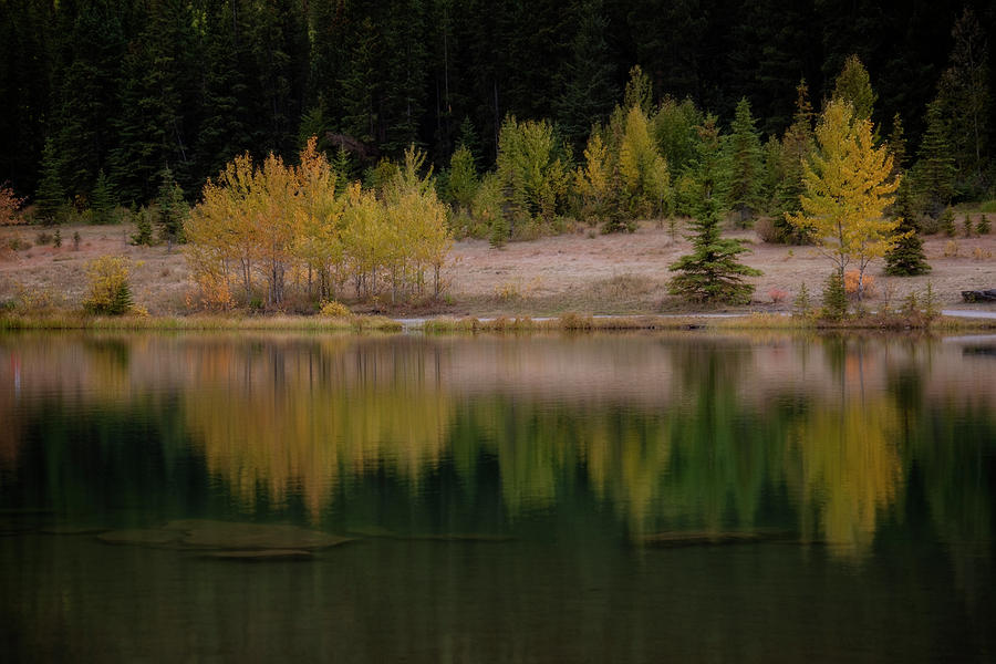 Fall at Quarry Lake Photograph by Catherine Reading