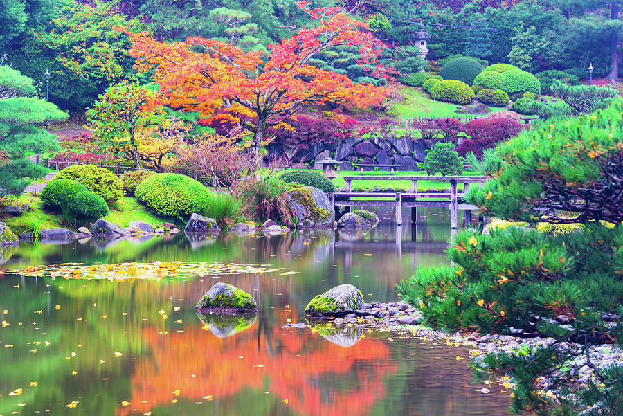 Fall at Seattle Japanese Garden Digital Art by Michael Lee