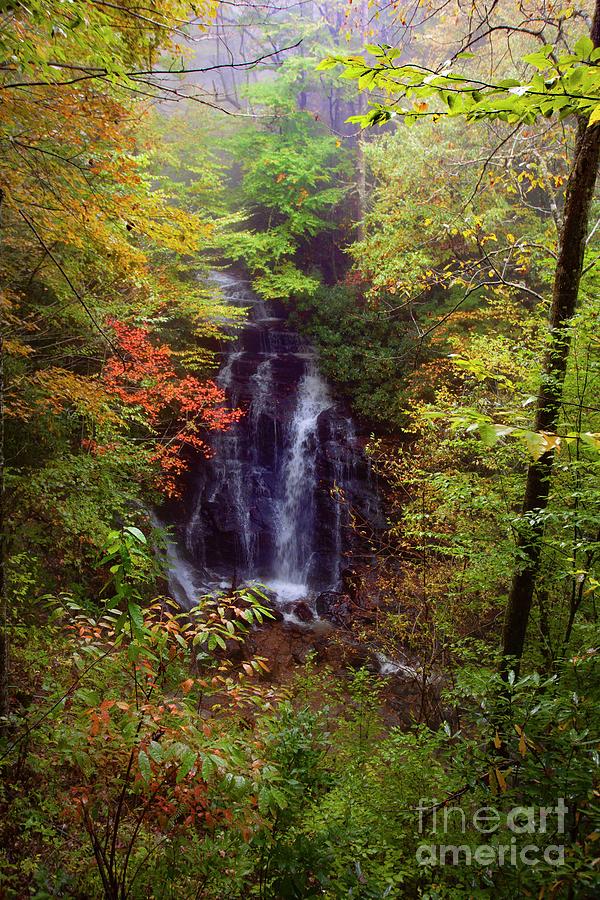 Fall at Soco Falls Photograph by Laurinda Bowling