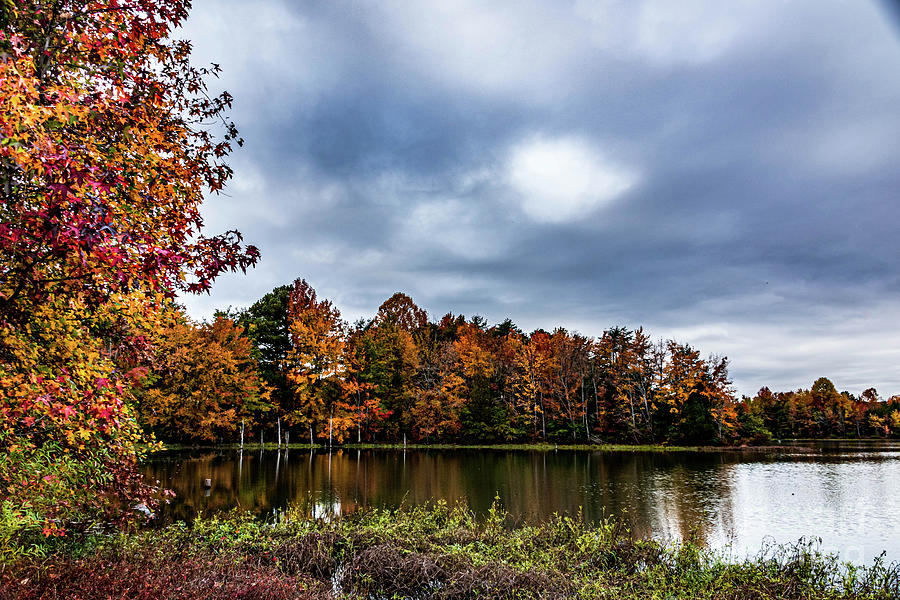 Fall At The Lake Photograph by Richard Thomas - Fine Art America