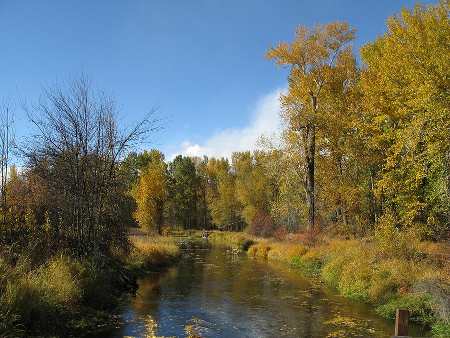 Fall At The River by Judy Bradley Fall At The River by Judy Bradley