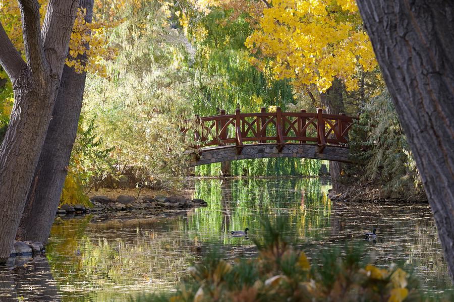 Fall at the Swan Pond by Vinnie Oakes Fall at the Swan Pond by Vinnie Oakes