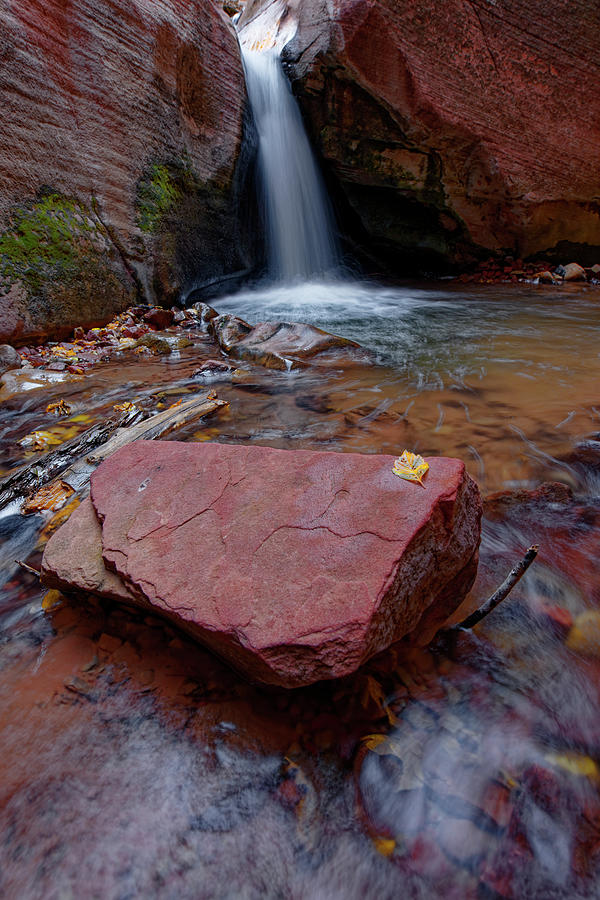 Fall At The Waterfall Photograph by Jonathan Davison