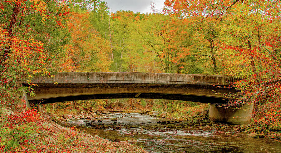 Fall at Tremont, Great Smoky Mountains Photograph by Marcy Wielfaert