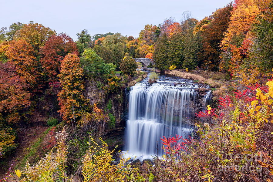 Fall at Webster's Falls by Alma Danison Fall at Webster's Falls by Alma Danison