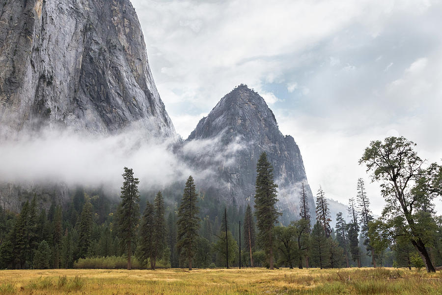 Fall at Yosemite Photograph by Penny Meyers