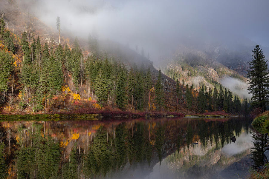 Fall beauty and fog Photograph by Lynn Hopwood