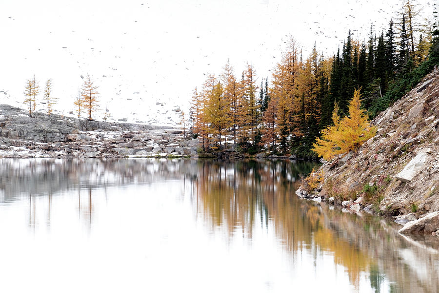 Fall Beauty at Lake Agnes Photograph by Catherine Reading