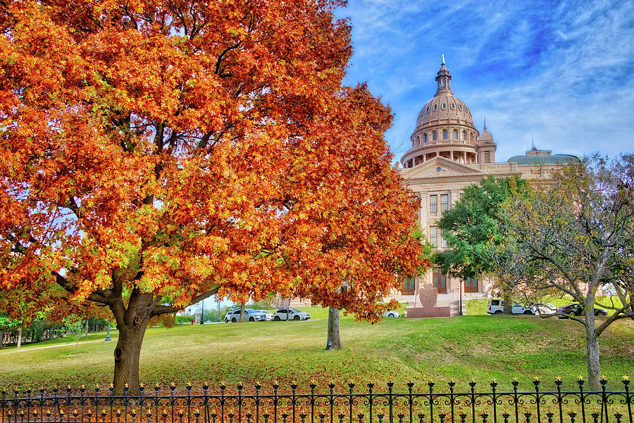 Fall Beauty at the Texas State Capital Photograph by Lynn Bauer