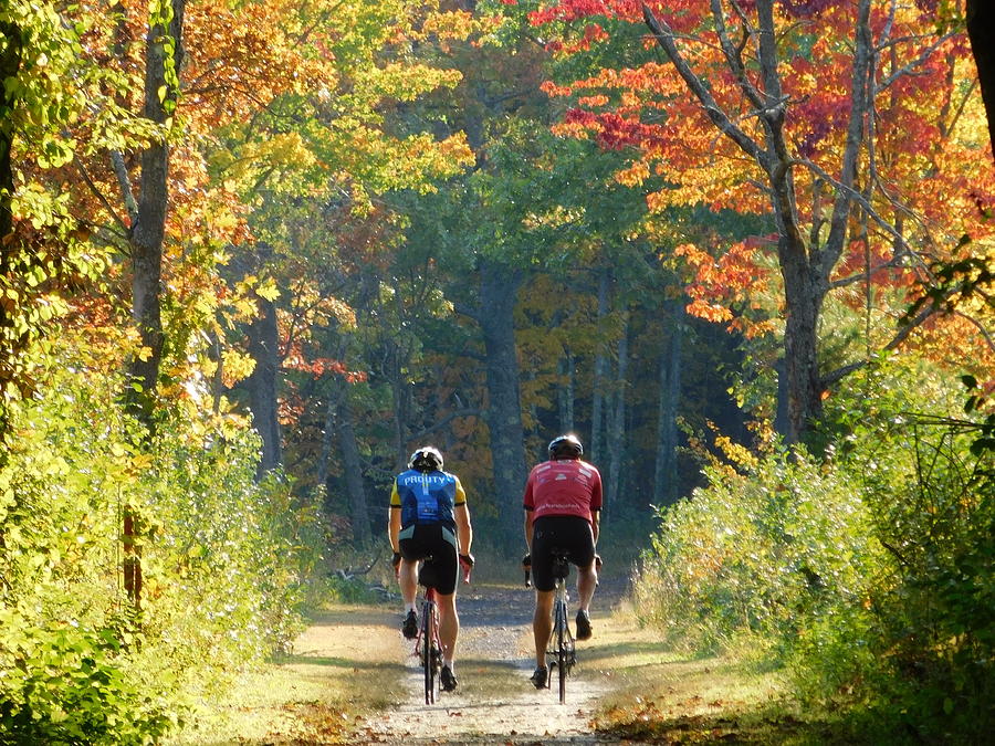#- Fall Bike Ride Photograph by THERESA Nye