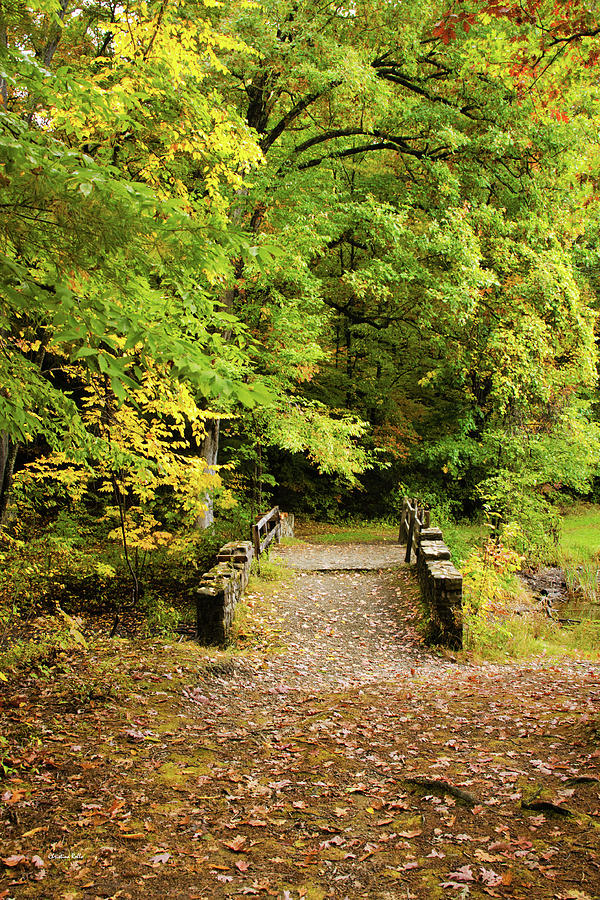 Fall Bridge Photograph by Christina Rollo - Fine Art America