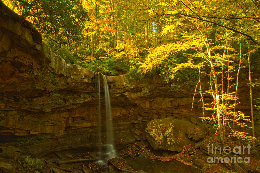 Fall Canopy Over Cucumber Falls Photograph by Adam Jewell