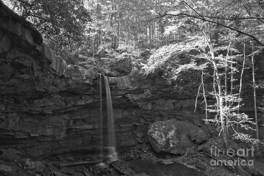 Fall Canopy Over Cucumber Falls Black And White Photograph by Adam Jewell
