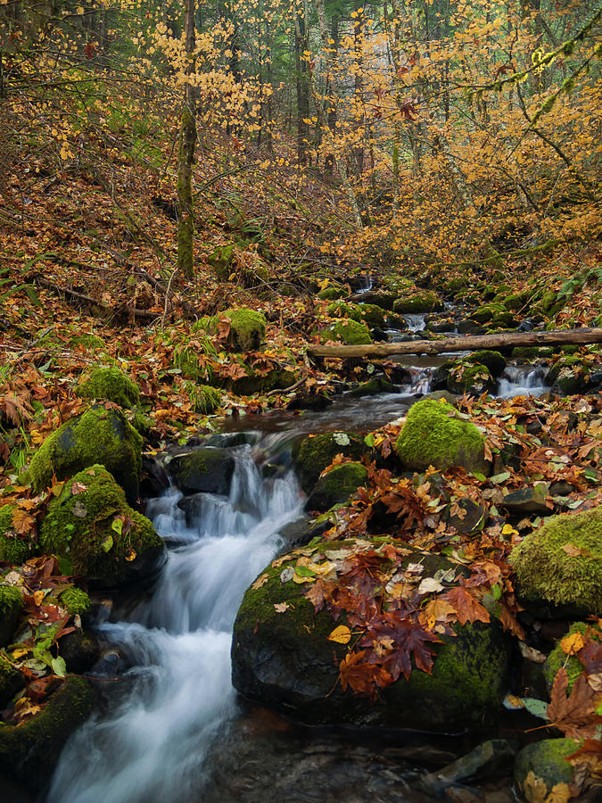 Fall Cascade Photograph by Steven Clark
