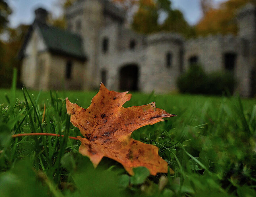 Fall Photograph - Fall Castle by Teri Arthur
