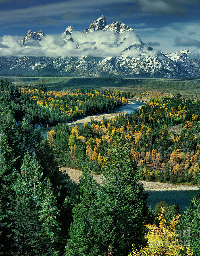 fall color along the snake river grand tetons np wyoming by Dave Welling fall color along the snake river grand tetons np wyoming by Dave Welling