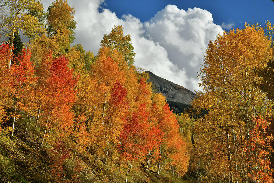 Fall Color and Clouds above Woods Lake State Wildlife Area Photograph by Ray Mathis