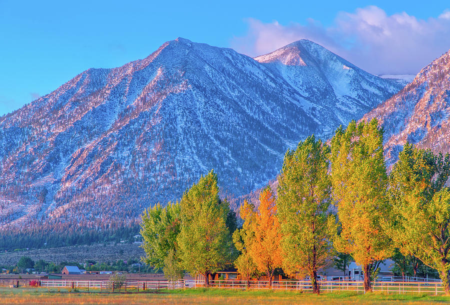 Fall Color and Eastern Sierra Nevada Photograph by Marc Crumpler