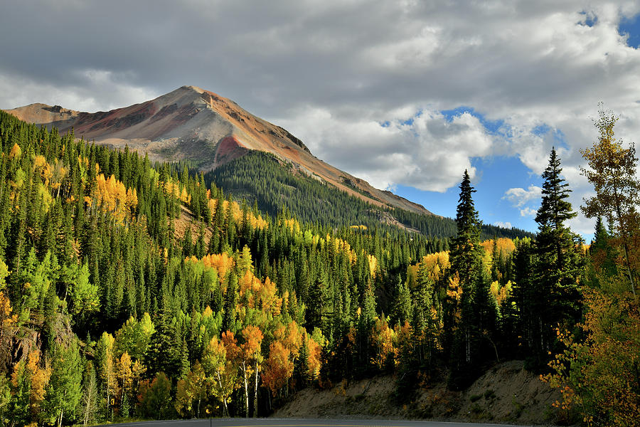 Fall Color Aspens Beneath Red Mountain Photograph by Ray Mathis