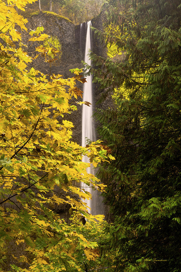 Fall color at Latourell by Hans Franchesco Fall color at Latourell by Hans Franchesco