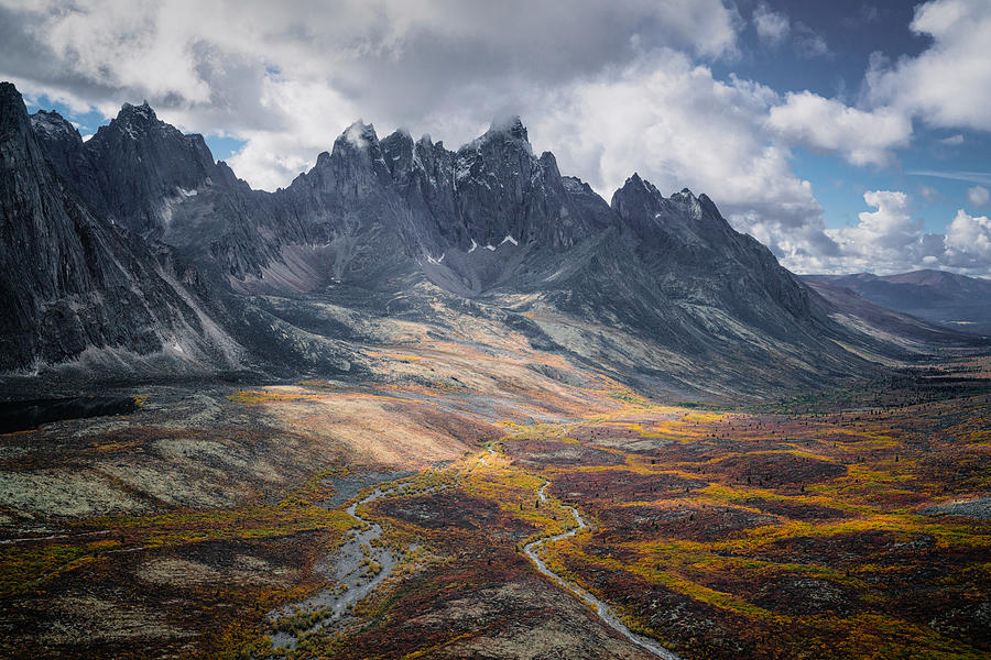 Fall Color At Tombstone Territorial Park Photograph by Willa Wei - Fine ...