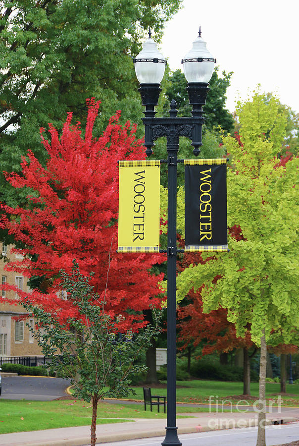 Fall Color at Wooster College 5380 Photograph by Jack Schultz - Fine ...