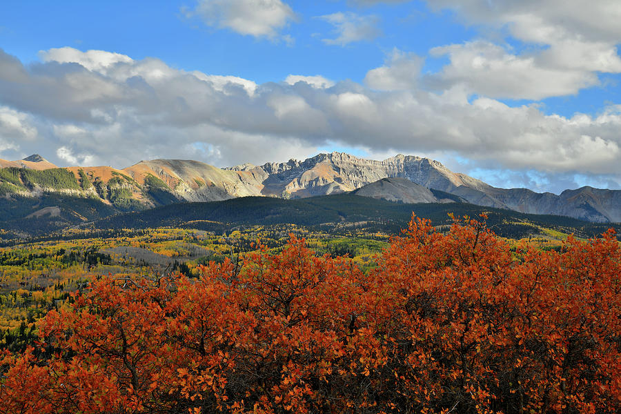 Fall Color Frames Mountain Skyline above Telluride Photograph by Ray Mathis