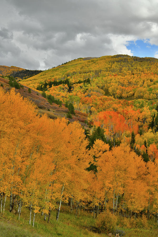 Fall Color Galore along Last Dollar Road Photograph by Ray Mathis