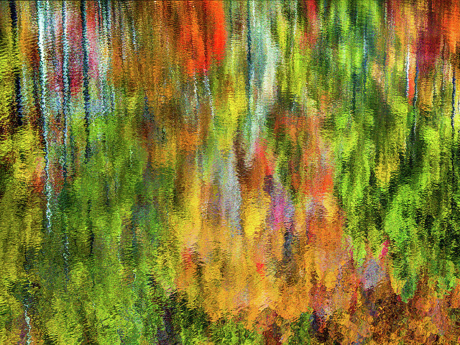 Fall Photograph - Fall Color Reflections by David A Dobbs