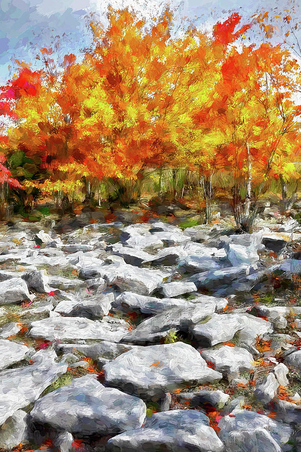 Fall Color Trees and Rocks West Virginia AP Painting by Dan Carmichael