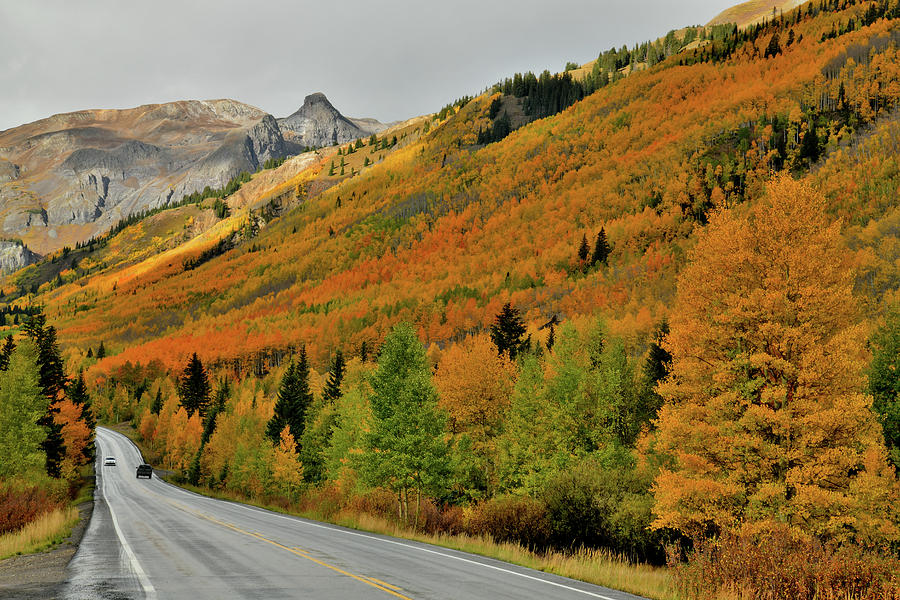 Fall Colored Highway 550 in Colorado Photograph by Ray Mathis
