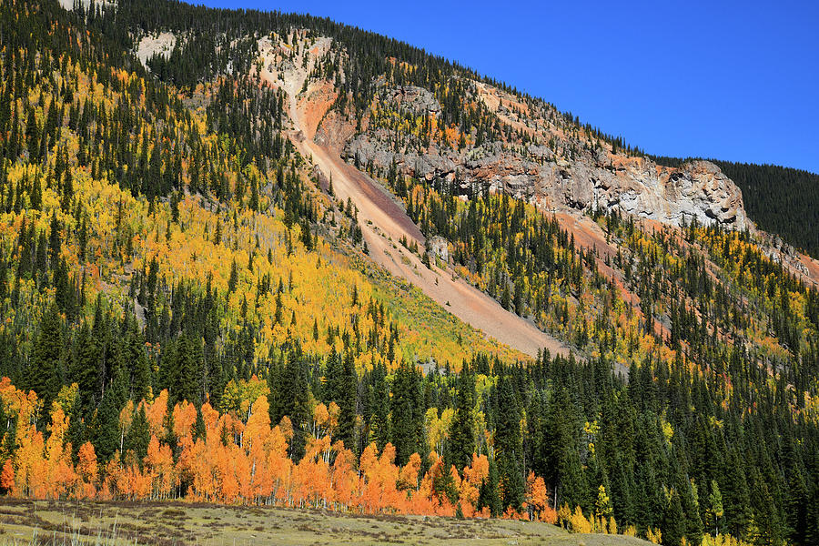 Fall Colored Hillside near Silverton Photograph by Ray Mathis