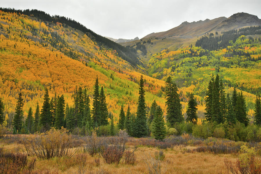 Fall Colored Mountains along Colorado Highway 550 Photograph by Ray Mathis
