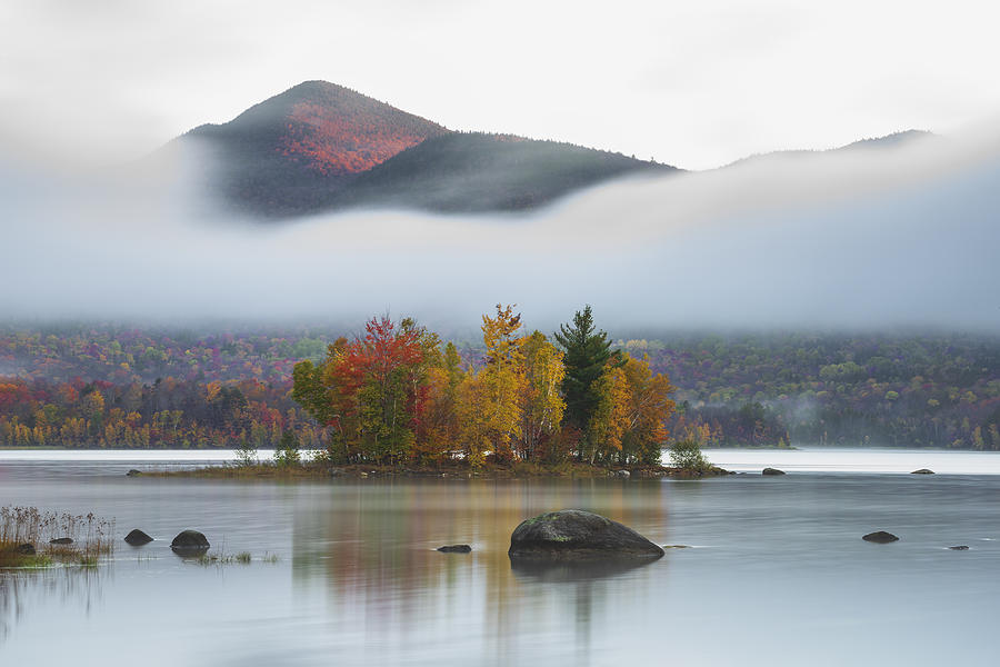 Tree Photograph - Fall Colors #3 by ??? / Austin Li