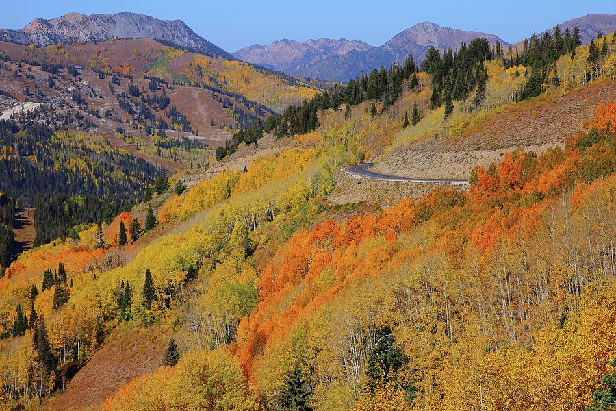 Fall colors abound at Guardsman Pass in Utah Photograph by Jetson Nguyen