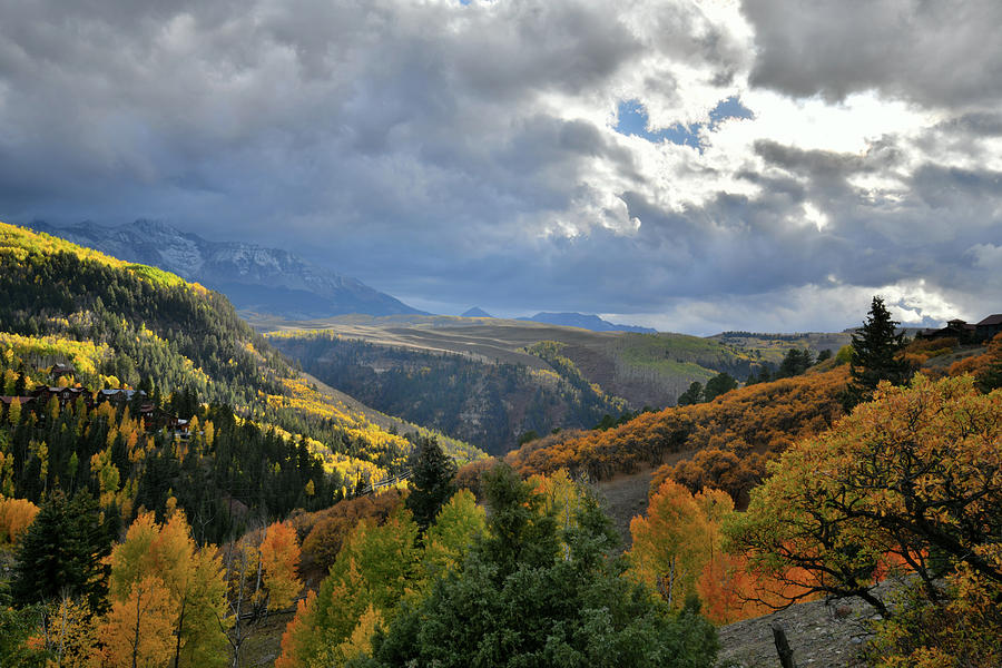 Fall Colors Above Highway 145 near Telluride Airport Photograph by Ray Mathis