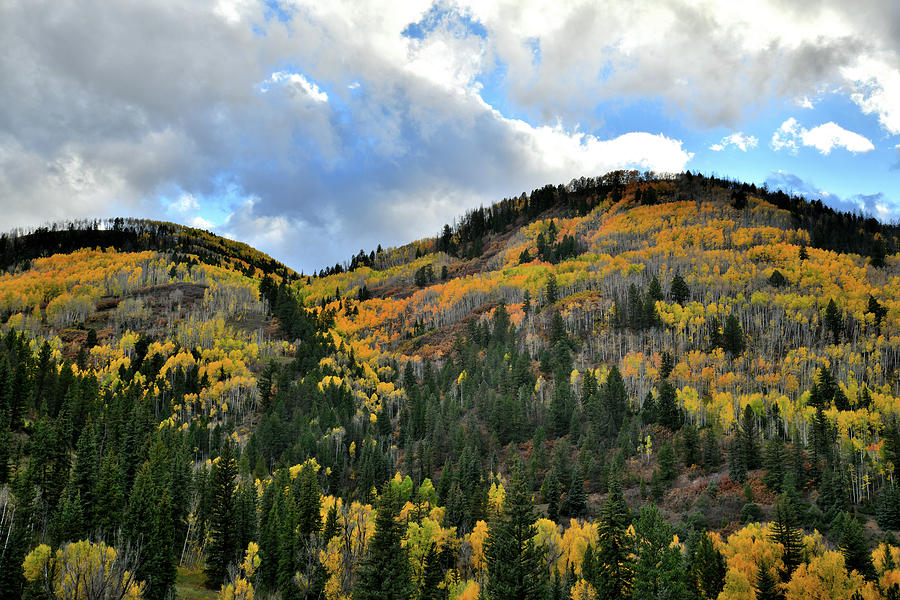 Fall Colors above Highway 145 Photograph by Ray Mathis