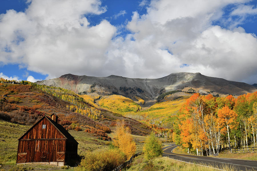 Fall Colors above Telluride CO Photograph by Ray Mathis