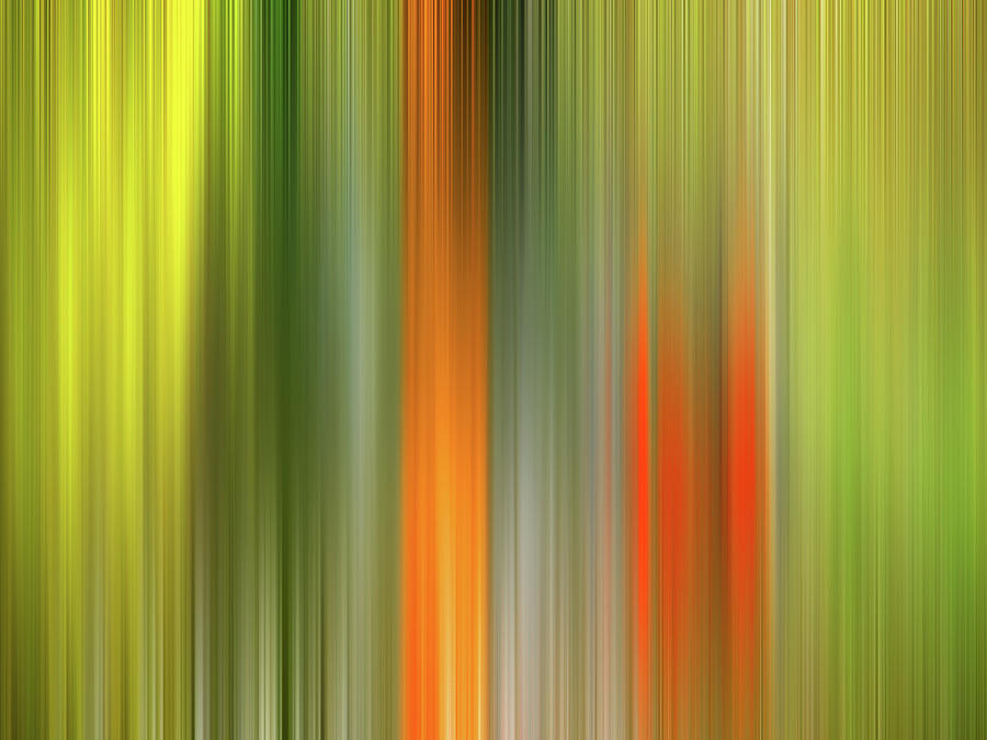 Fall Colors Abstract Photograph by Gill Billington