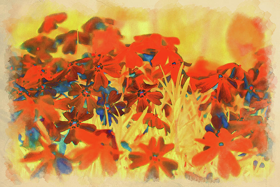 Fall Colors Digital Art by Alex Mir